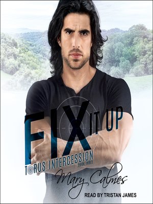 cover image of Fix It Up